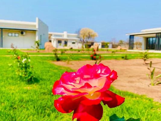 Alldays Country Lodge - 241597