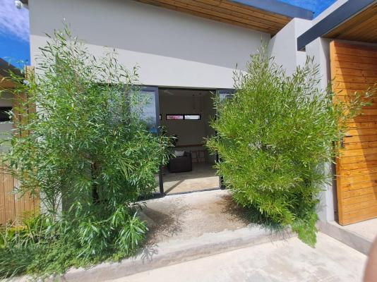Umsinga Lodge - 241909