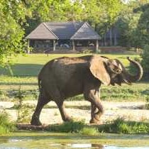 Inyati Game Lodge