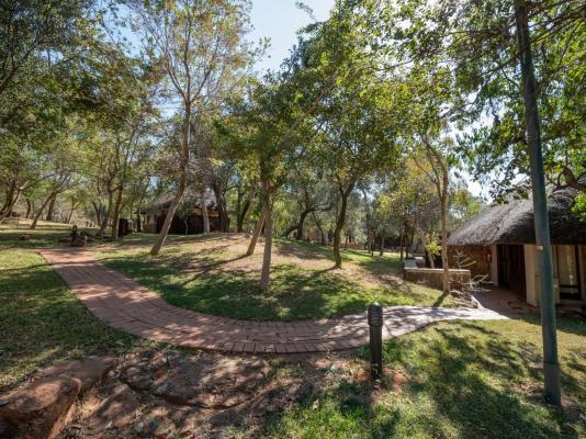 Ilanga Lodge - 242052