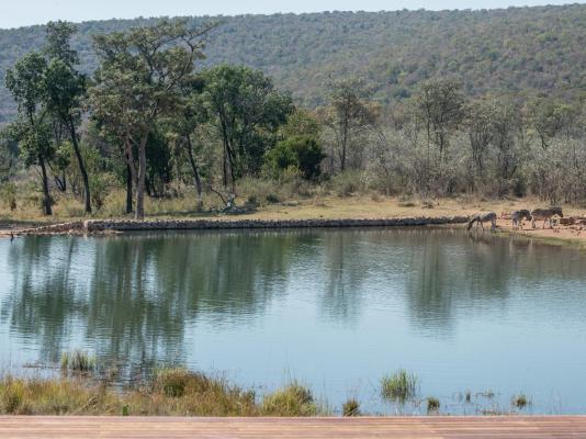 Ilanga Lodge - 242054