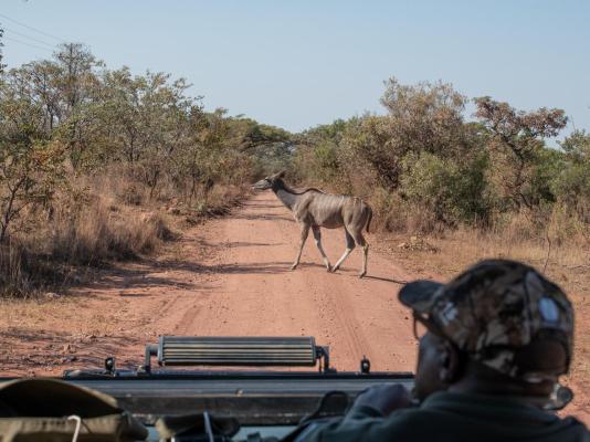 Ilanga Lodge - 242057