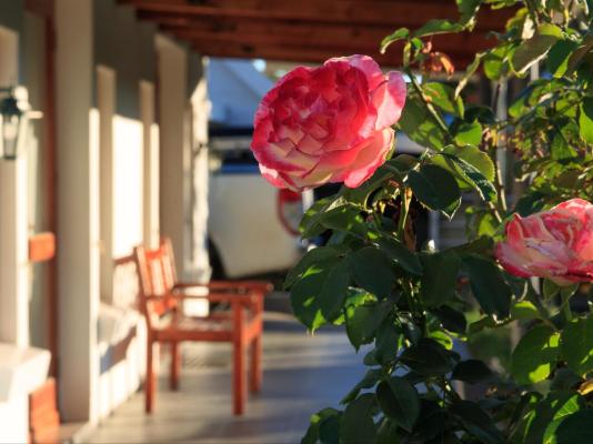 Mount Currie Inn - 242100