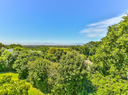 Devonport House - Constantia - 242208