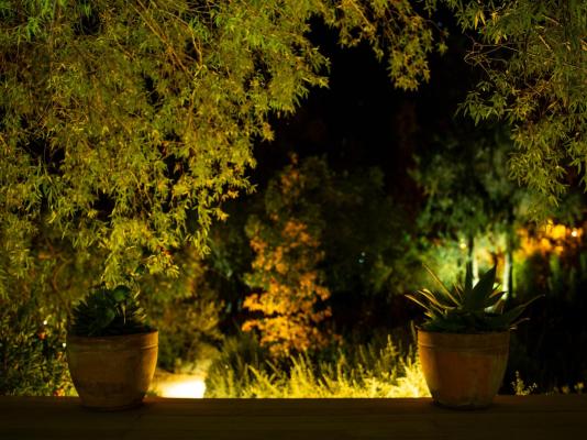 Kamala Karoo Sanctuary - 242251