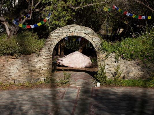 Kamala Karoo Sanctuary - 242256