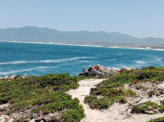 Oystercatcher House - 242324