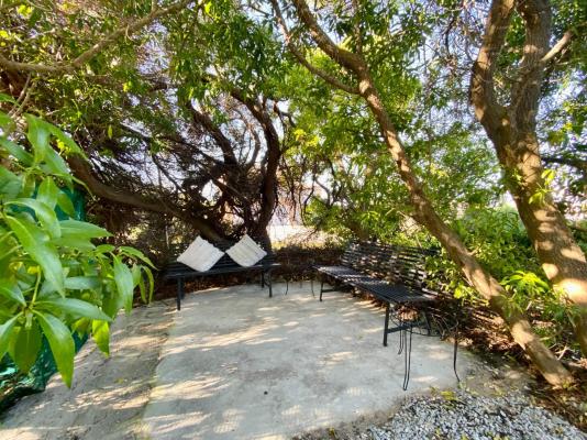 Oystercatcher House - 242332