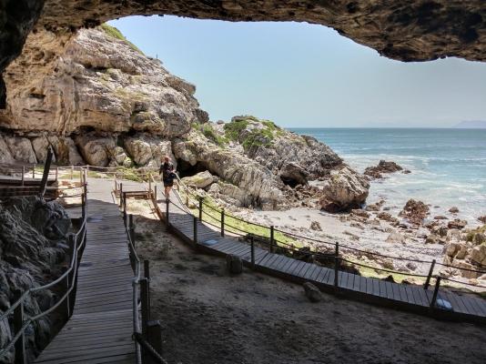 Oystercatcher House - 242338