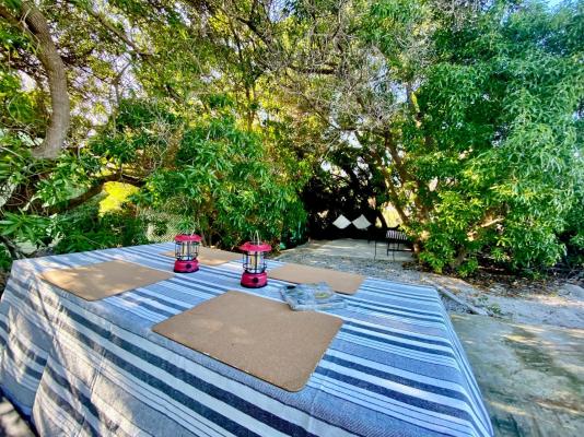 Oystercatcher House - 242339