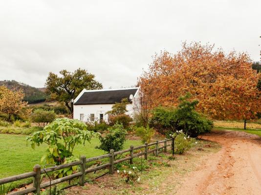 Basse Provence - 242401