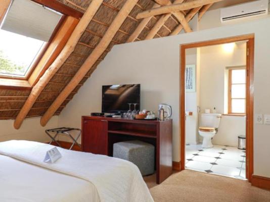 Basse Provence - 242409