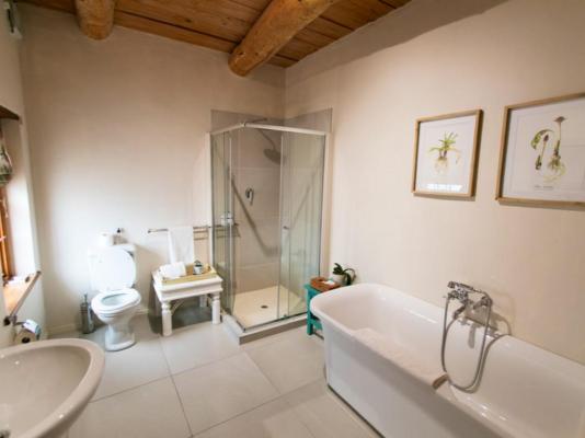 Basse Provence - 242427