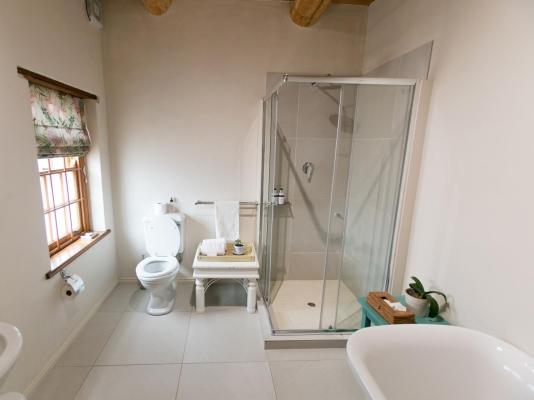 Basse Provence - 242428