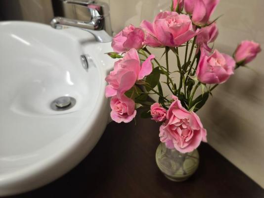 Potch Manor Guest House - 242740