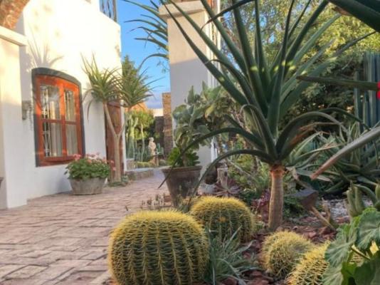 Villa Contessa - 242927