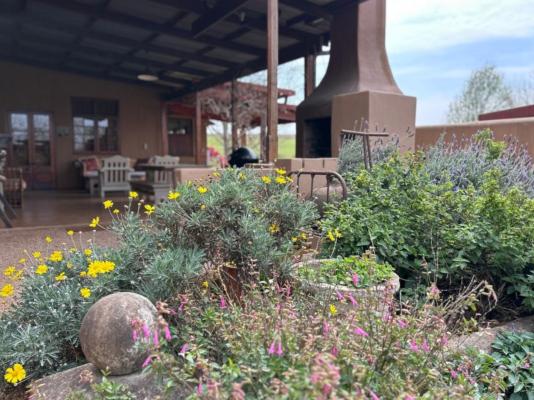 Cedarwood Guesthouse - 243046