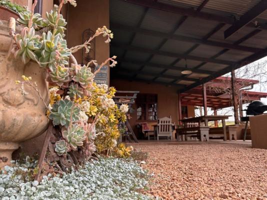 Cedarwood Guesthouse - 243050