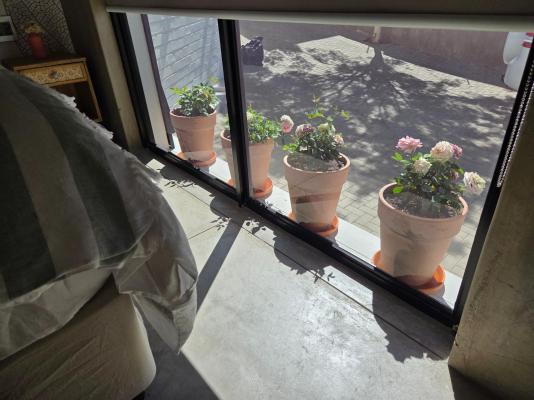 Luvlé Lux Apartments - 243109