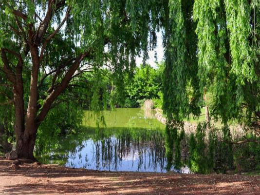 The Nugget Guest Lodge - 243135