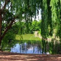 The Nugget Guest Lodge - 243135