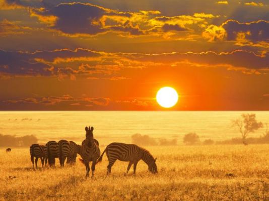 Otavi Vineyards Self-catering & Camping - 243148