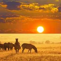 Otavi Vineyards Self-catering & Camping - 243148