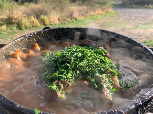 Otavi Vineyards Self-catering & Camping - 243157