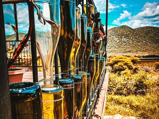 Otavi Vineyards Self-catering & Camping - 243160