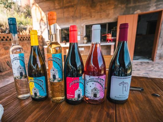 Otavi Vineyards Self-catering & Camping - 243166