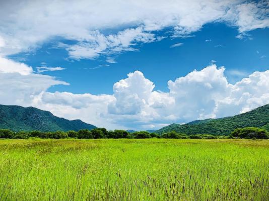 Otavi Vineyards Self-catering & Camping - 243167