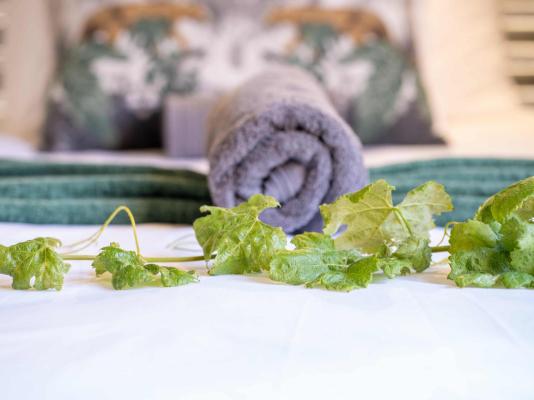 Otavi Vineyards Self-catering & Camping - 243200