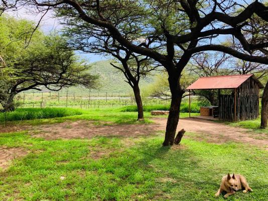 Otavi Vineyards Self-catering & Camping - 243211