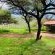 Otavi Vineyards Self-catering & Camping - 243211