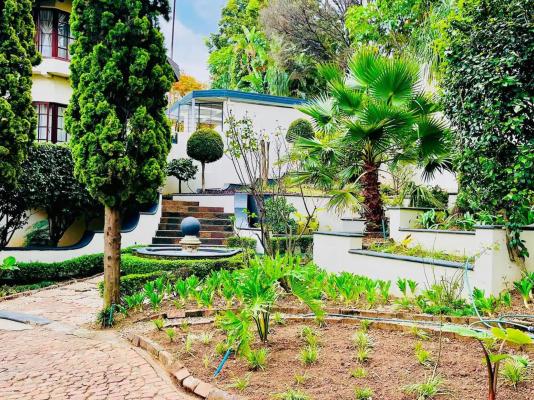 Nkhangfi Home - 243291