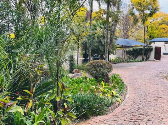 Nkhangfi Home - 243294