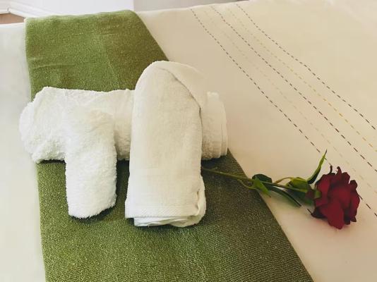 Nkhangfi Home - 243334