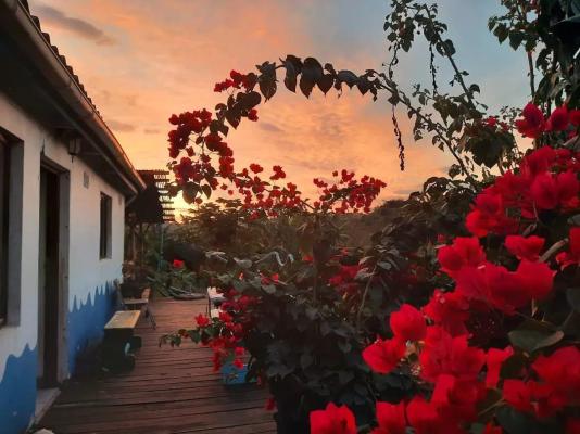 Pumula Surf Camp - 243381