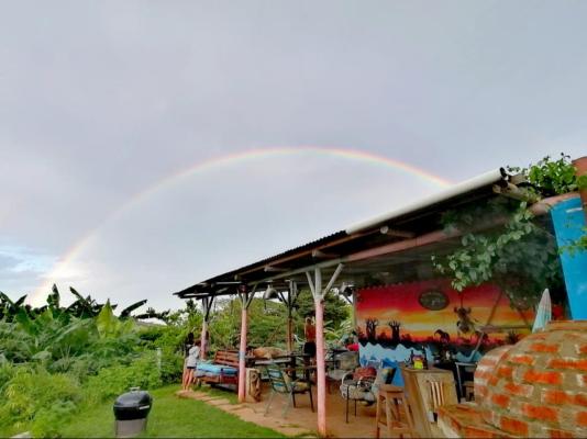 Pumula Surf Camp - 243382