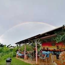 Pumula Surf Camp - 243382