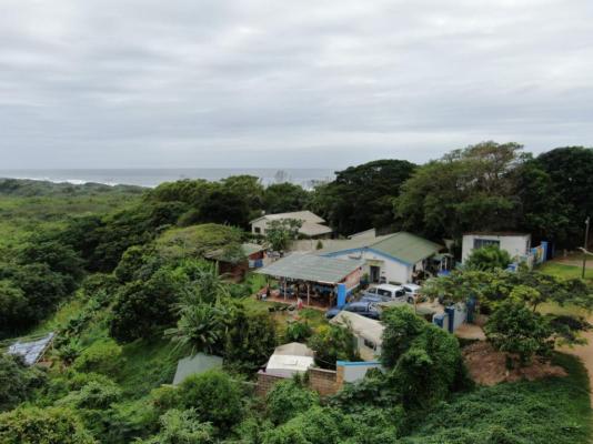 Pumula Surf Camp - 243384