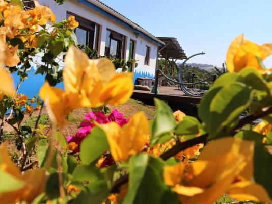 Pumula Surf Camp - 243394