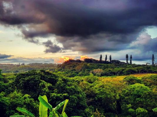 Pumula Surf Camp - 243395