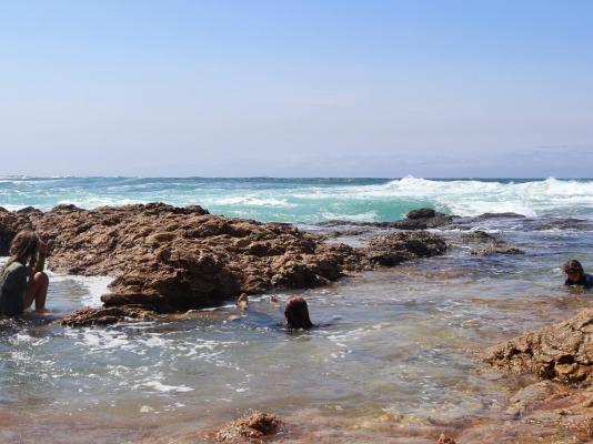 Pumula Surf Camp - 243397