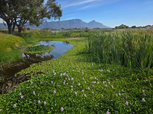 Princess Vlei Lodge - 243450