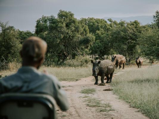 Rhino's Rest Private Luxury Villa - 243556