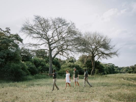 Rhino's Rest Private Luxury Villa - 243565