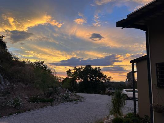 Plumbago Guest House - 243591