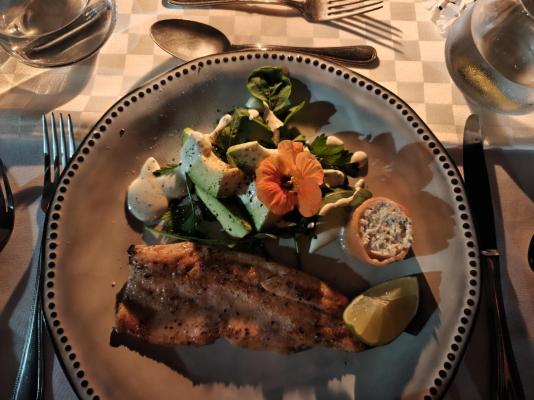 Plumbago Guest House - 243598