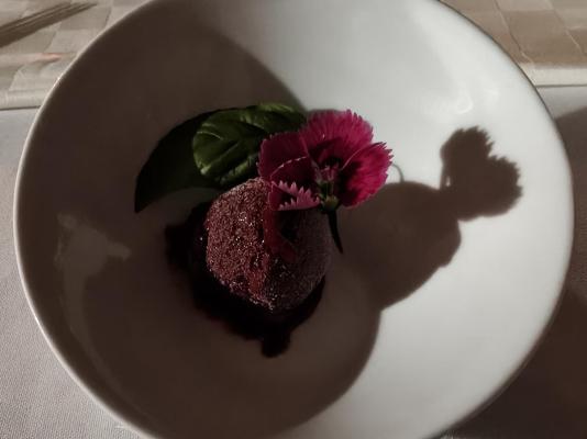 Plumbago Guest House - 243600